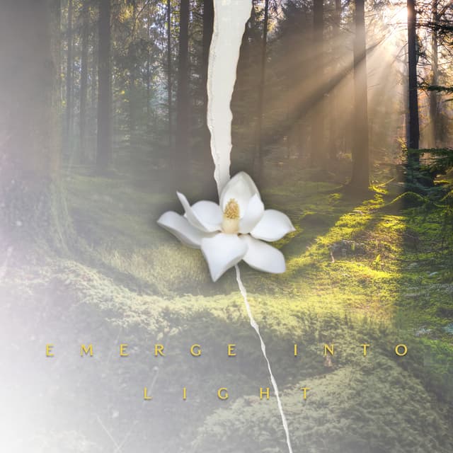 Emerge Into Light